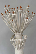 GRAND BAOBAB | Sculptural Ceramic