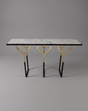 Y Console | Modern Designer Table
