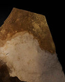 AUROSINO | Contemporary Coffee Table | Limited Edition