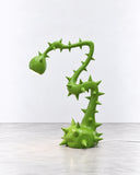 Ryan Mercer Vine Lamp featuring a twisting green stem with sculptural thorn-like details and a curling upper form. Inspired by organic growth, its distinctive silhouette brings a playful, nature-inspired character to contemporary interiors.