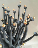 BAOBAB Noir | Sculptural Contemporary Object