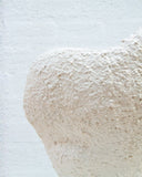 Sculptural seating piece with soft organic contours. A collectible design chair for contemporary living spaces.