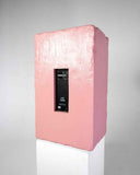 Rear view of a sculptural Brutalist speaker with a handcrafted pink cabinet and integrated connection panel. The monolithic construction reflects contemporary craftsmanship and premium audio design.