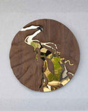 Delta Mirror Collection | Limited Edition