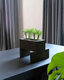 Chandigarh III | Black Concrete Arch Vase | Sculpture