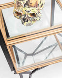 Showcase Cabinet | Steel & Oak Glass Display