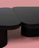 Pangea | Modern Wood Coffee Table | Art & Collectible Design | INTERNATIONAL DESIGN